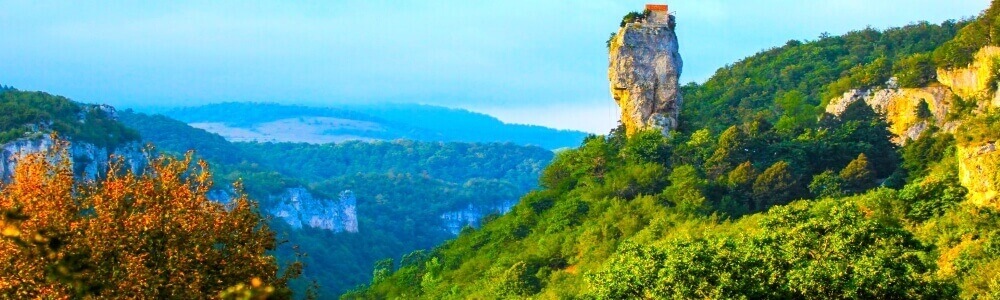 Individual programs copyright travel from Kazakhstan to Georgia Pillar Katskh